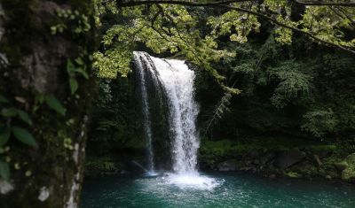 A picture of a waterfall